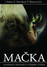 MAČKA